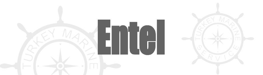 Entel Banner